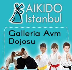 Aikido İstanbul